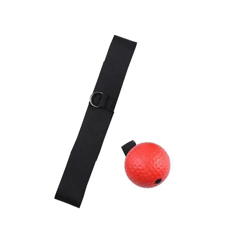 Box Ball - Exercício de Reflexo WAYVE